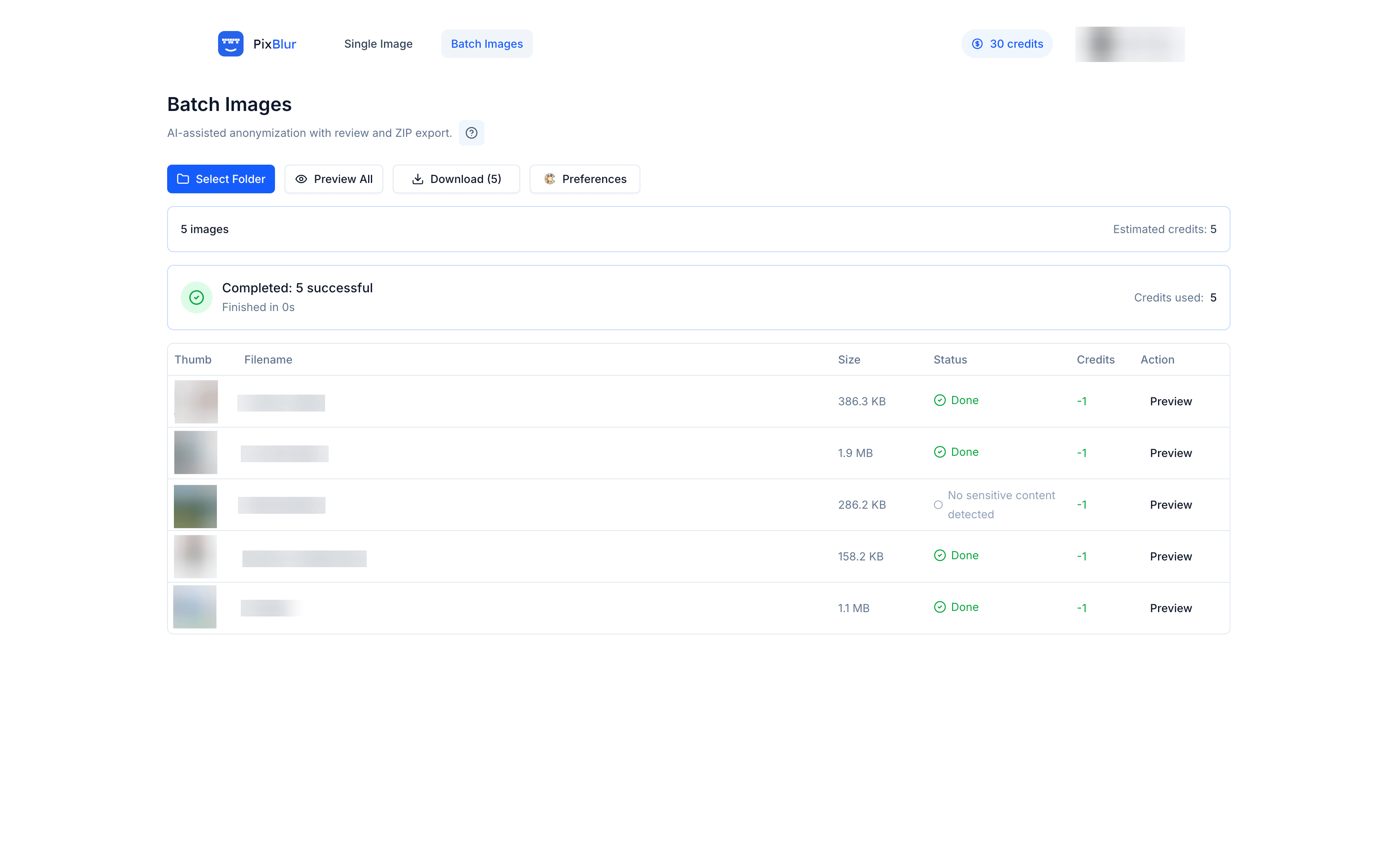 PixBlur feature screenshot - Bulk Image Anonymization